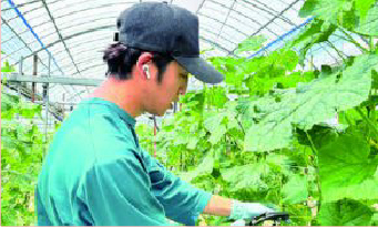 社員研修に伴う休業のお知らせ