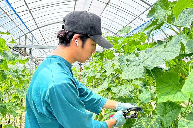 実葉根農園様